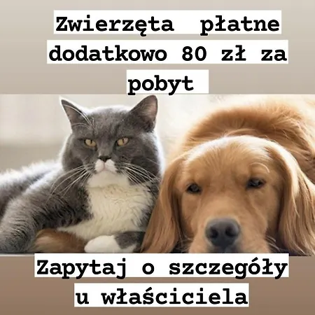 Centrum Bagno 3 Cityaparthome *